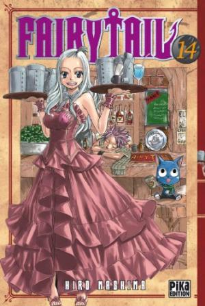 FAIRY TAIL T 14